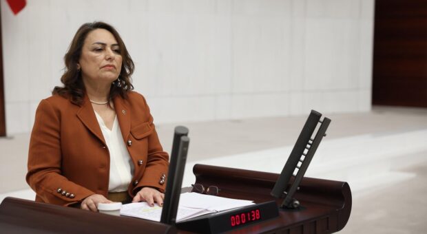 CHP’li Dr. Şevkin’den İçişleri Bakanına Zeydan Karalar tepkisi