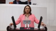 “Çocukları cezalandırmak çözüm değil, önce bataklığı kurutun!”