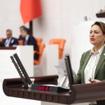 “Akademik liyakat, bilimsel özerklik ve eşitlik korunmalıdır”