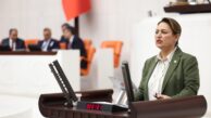 “Akademik liyakat, bilimsel özerklik ve eşitlik korunmalıdır”