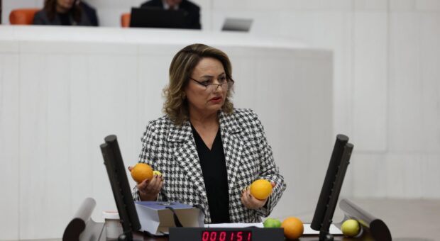 CHP’li Dr. Müzeyyen Şevkin, portakal, limon ve mandalinaları meclis kürsüsüne boşalttı